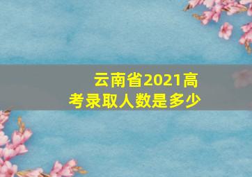 云南省2021高考录取人数是多少