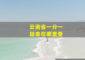 云南省一分一段表在哪里查