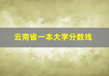 云南省一本大学分数线