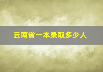 云南省一本录取多少人