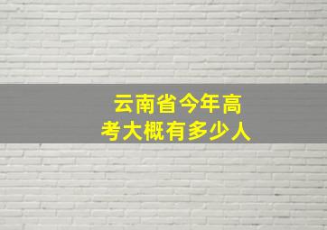 云南省今年高考大概有多少人