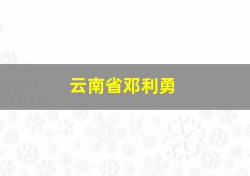 云南省邓利勇