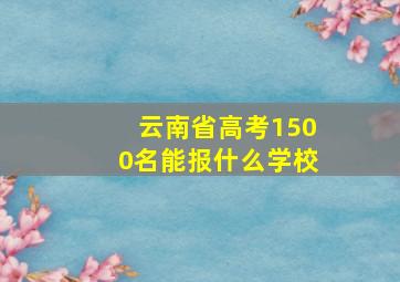 云南省高考1500名能报什么学校