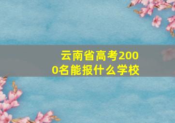 云南省高考2000名能报什么学校