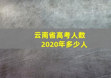 云南省高考人数2020年多少人