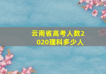 云南省高考人数2020理科多少人