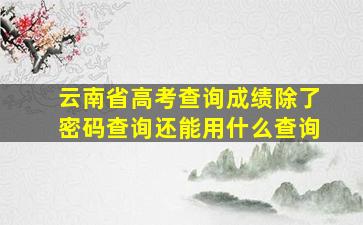 云南省高考查询成绩除了密码查询还能用什么查询