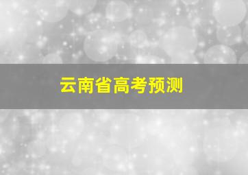 云南省高考预测