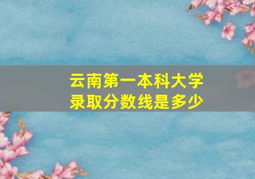 云南第一本科大学录取分数线是多少