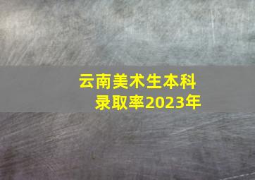 云南美术生本科录取率2023年