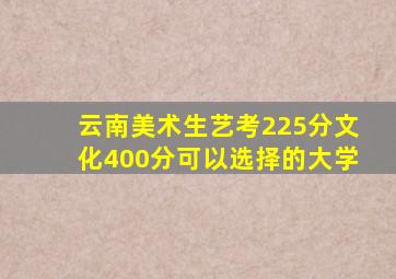 云南美术生艺考225分文化400分可以选择的大学