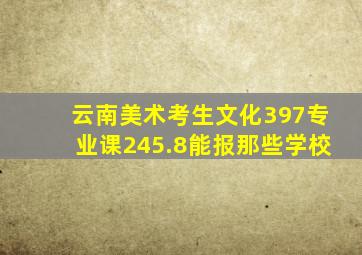 云南美术考生文化397专业课245.8能报那些学校