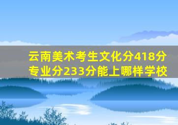 云南美术考生文化分418分专业分233分能上哪样学校