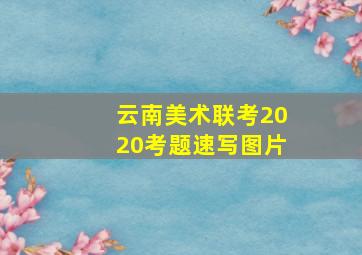 云南美术联考2020考题速写图片