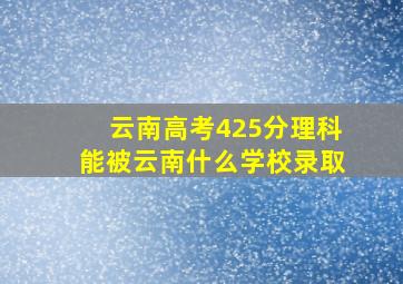 云南高考425分理科能被云南什么学校录取