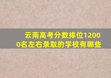 云南高考分数排位12000名左右录取的学校有哪些