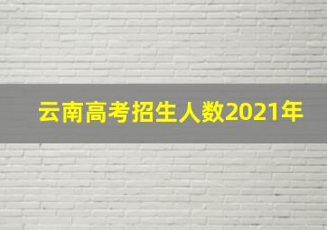 云南高考招生人数2021年