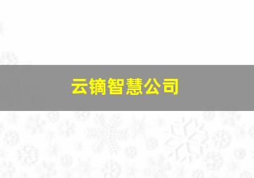 云镝智慧公司