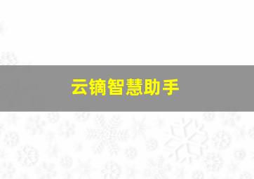 云镝智慧助手