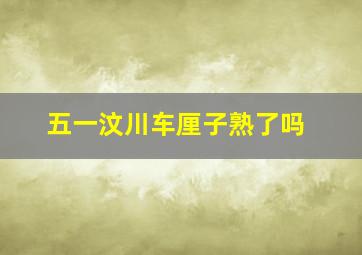 五一汶川车厘子熟了吗