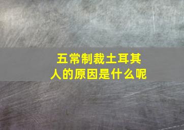 五常制裁土耳其人的原因是什么呢