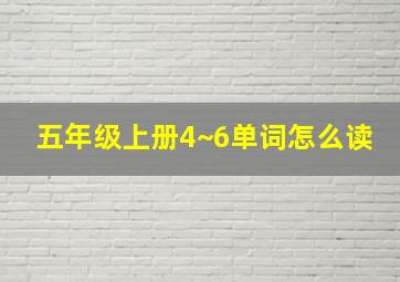 五年级上册4~6单词怎么读