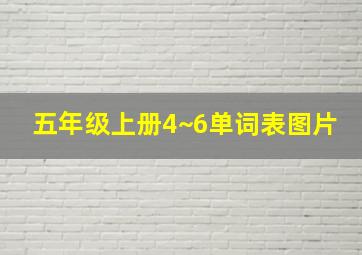 五年级上册4~6单词表图片