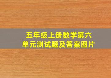 五年级上册数学第六单元测试题及答案图片