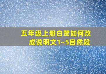 五年级上册白鹭如何改成说明文1~5自然段