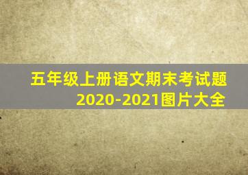 五年级上册语文期末考试题2020-2021图片大全