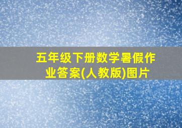 五年级下册数学暑假作业答案(人教版)图片