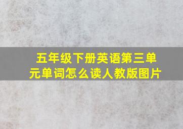 五年级下册英语第三单元单词怎么读人教版图片