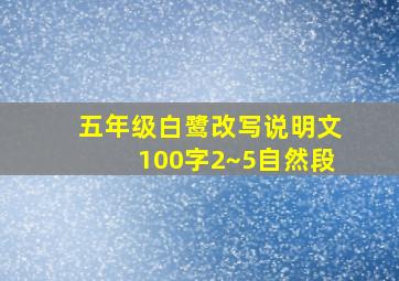 五年级白鹭改写说明文100字2~5自然段