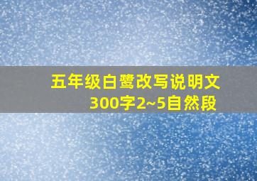 五年级白鹭改写说明文300字2~5自然段