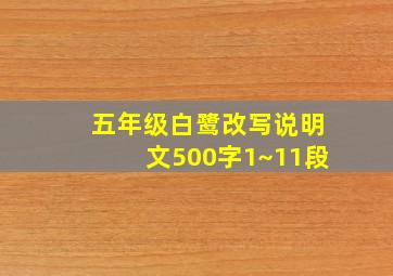 五年级白鹭改写说明文500字1~11段