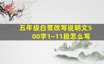 五年级白鹭改写说明文500字1~11段怎么写