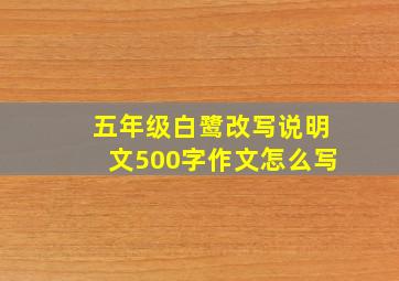 五年级白鹭改写说明文500字作文怎么写