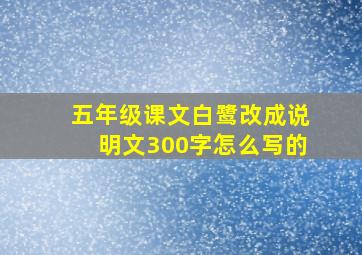 五年级课文白鹭改成说明文300字怎么写的