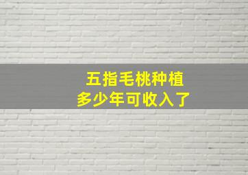 五指毛桃种植多少年可收入了