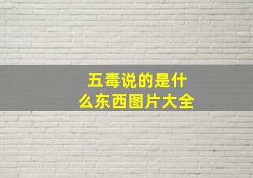 五毒说的是什么东西图片大全