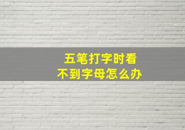 五笔打字时看不到字母怎么办