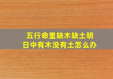 五行命里缺木缺土明日中有木没有土怎么办