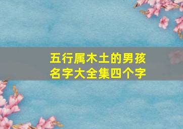 五行属木土的男孩名字大全集四个字