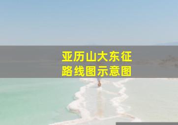 亚历山大东征路线图示意图