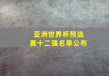 亚洲世界杯预选赛十二强名单公布