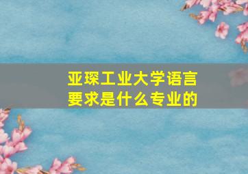 亚琛工业大学语言要求是什么专业的