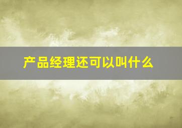 产品经理还可以叫什么