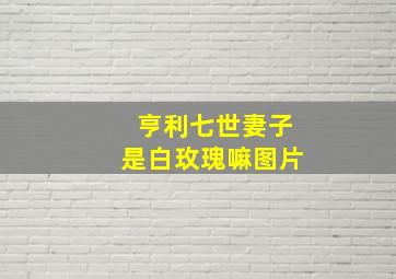 亨利七世妻子是白玫瑰嘛图片