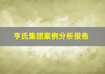 亨氏集团案例分析报告