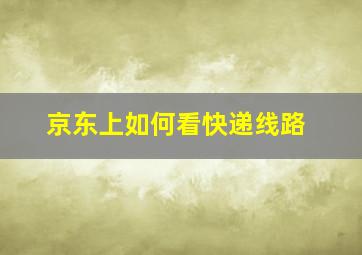 京东上如何看快递线路